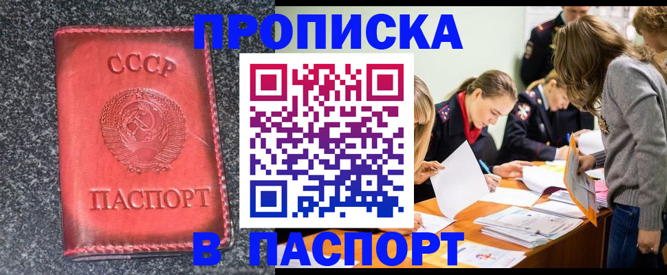 прописка для школы в Электроуглях